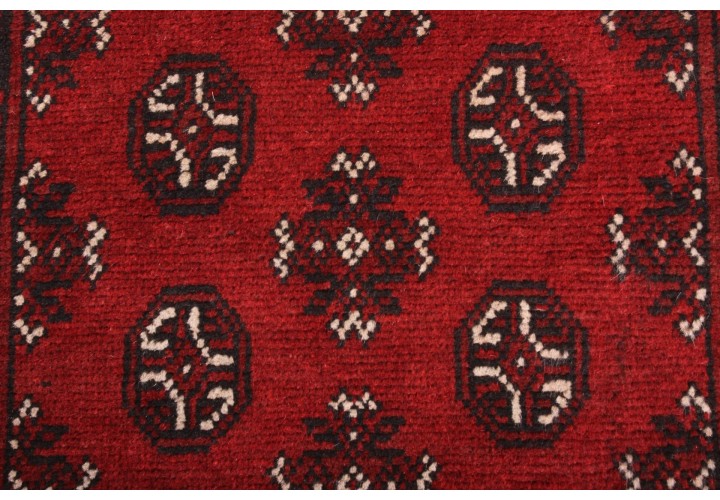 Turkoman